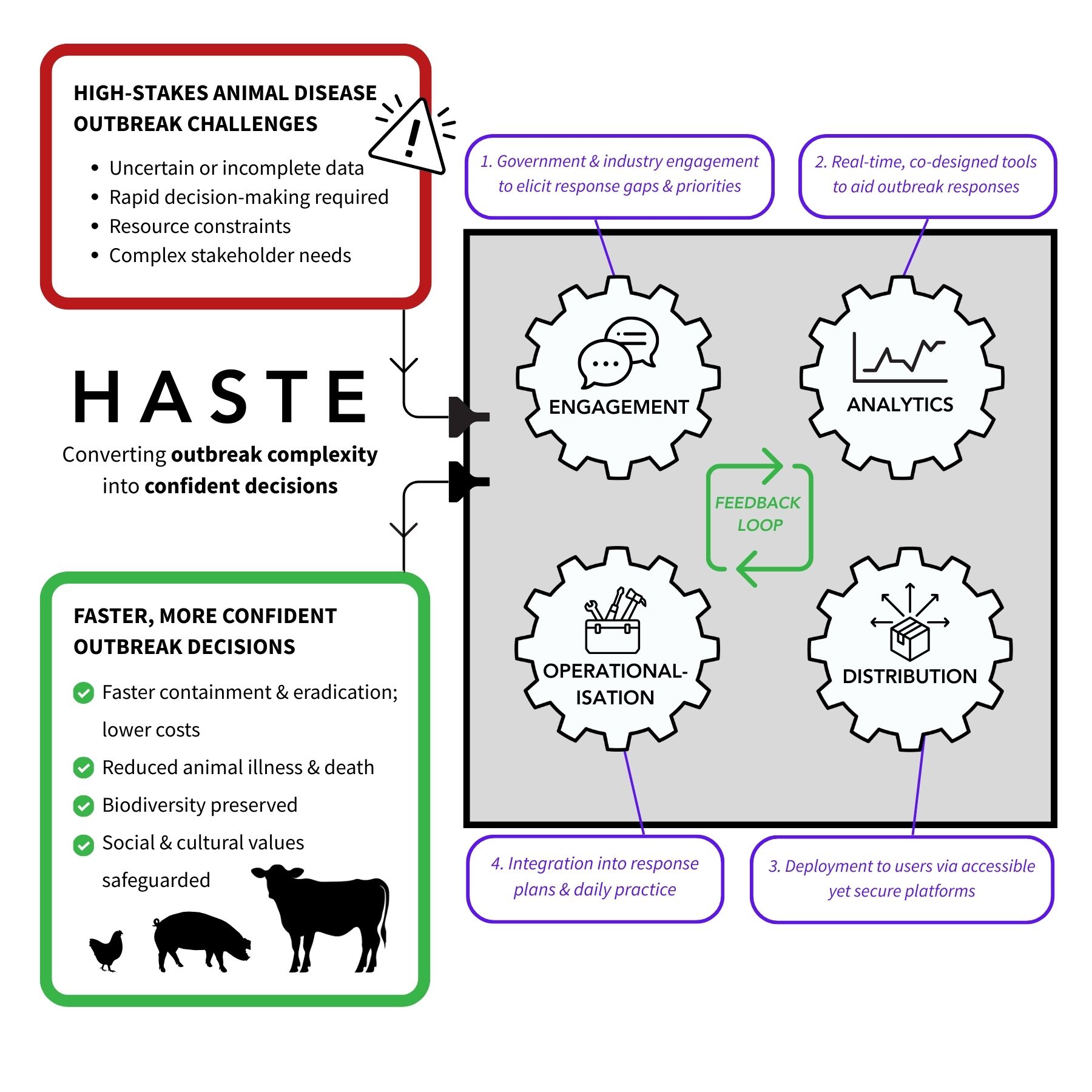 Graphical representation of HASTE's approach