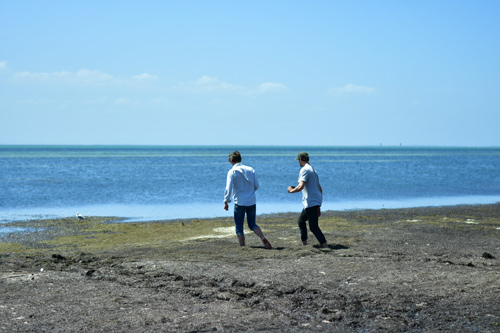 Two people stand with their backs to the camera on a beach strewn with seaside.