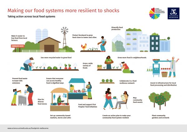 2024 infographic, depicting a range of actions that can be undertaken across the food system to make them more resilient