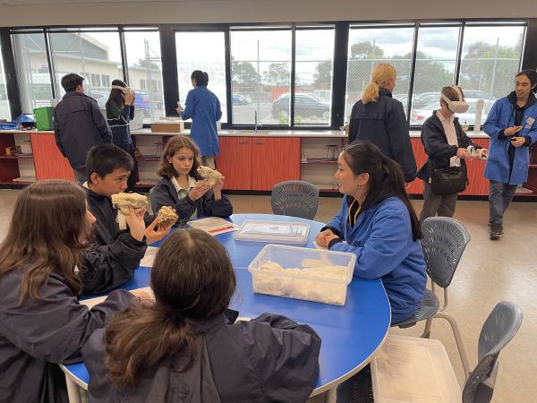 Science Roadshow presenter with a selection of animal skulls