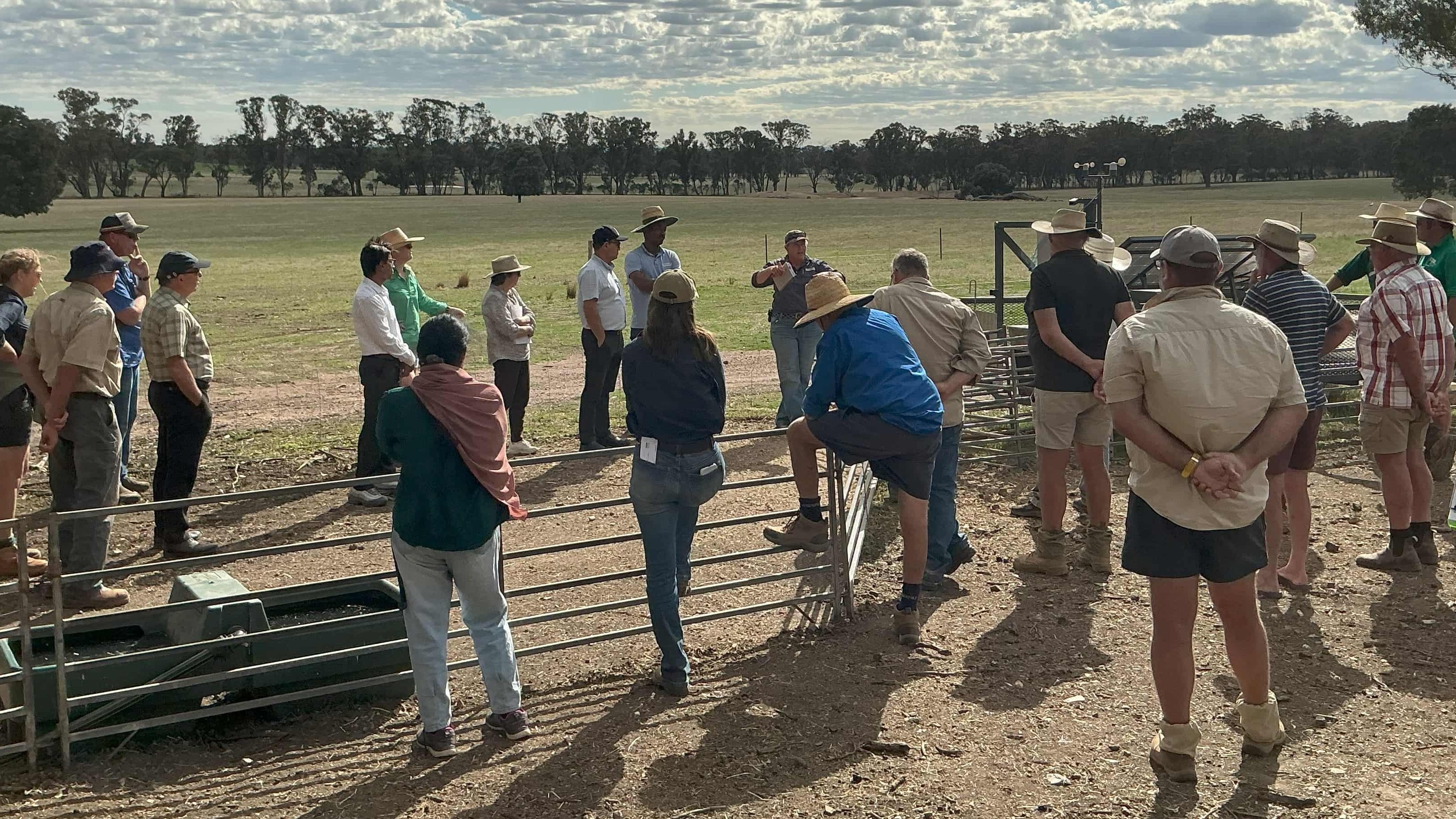 Standing in a paddock near a fence, a group of 24 people listen to a person talk