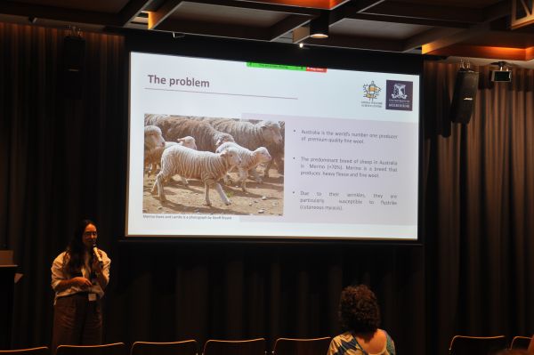A speaker at the podium next a slide titled 'The problem' and containing a photograph of several sheep