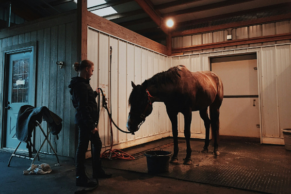 Woman standing with unsaddled horse in stable.