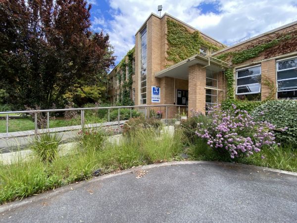 Native grasses and flowering plants growing next to a building