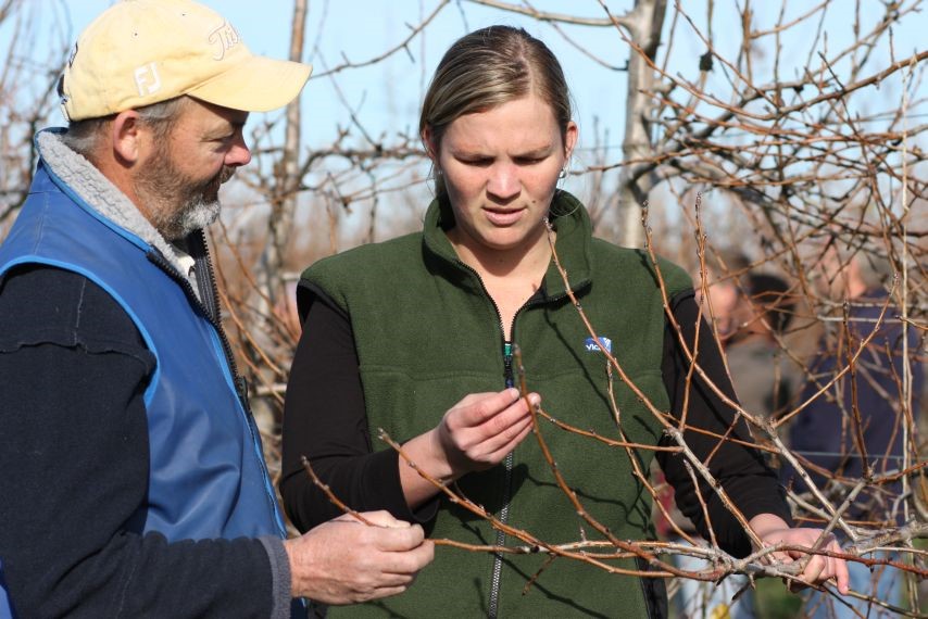 Mapping the extension capability of the Goulburn Valley Fresh Pear Sector