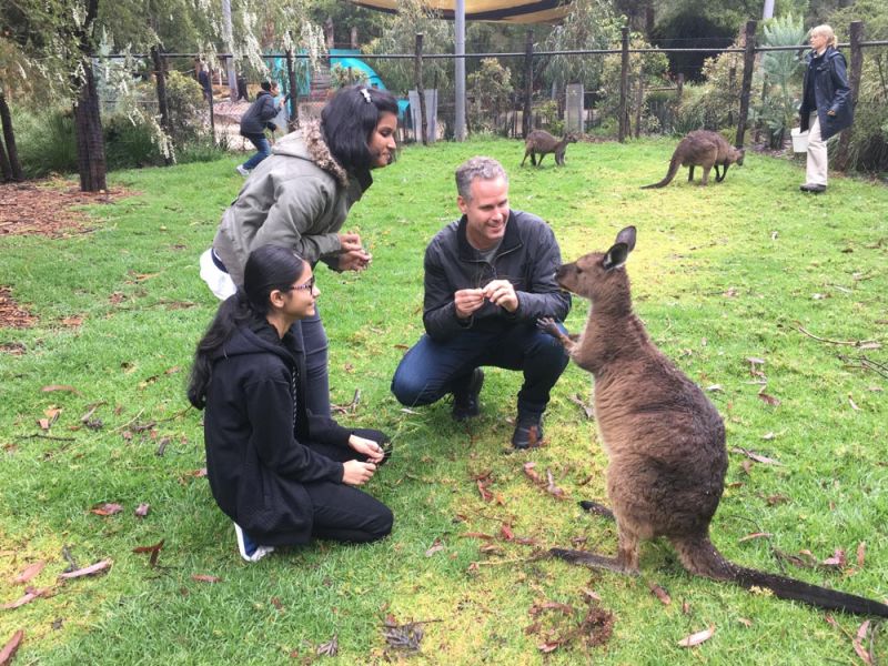 Two students meeting a wallaby at Healesville Sanctuary