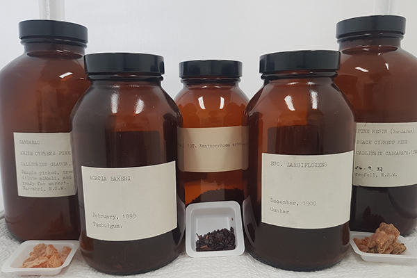 5 jars that are part of historical collection of plant exudates