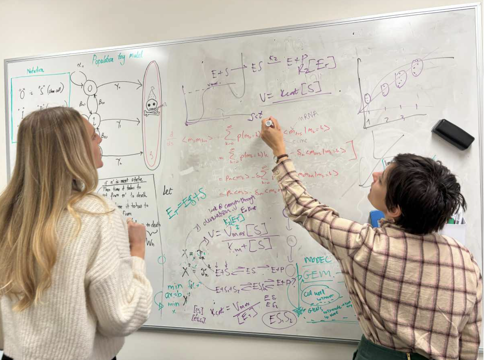 Adriana Zanca at the Whiteboard