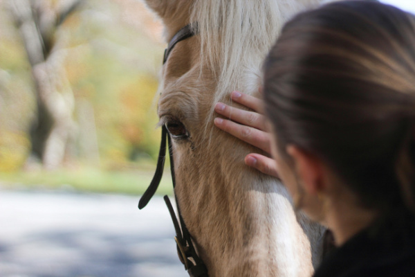 View over woman's shoulder as she pats a horse's head