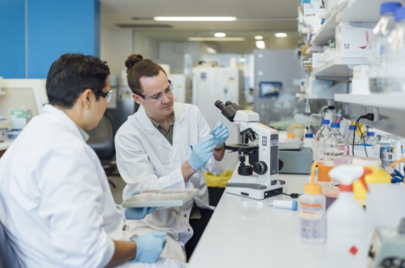 Two males in lab coats in a chemistry lab