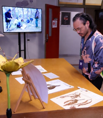 Man looks down at plant specimens on display