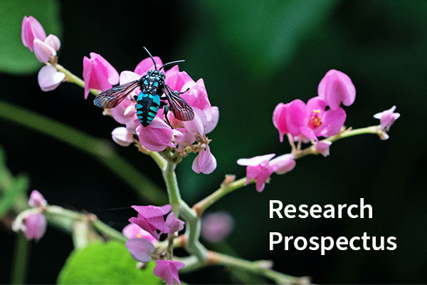 The cover of the School of BioScience research prospectus