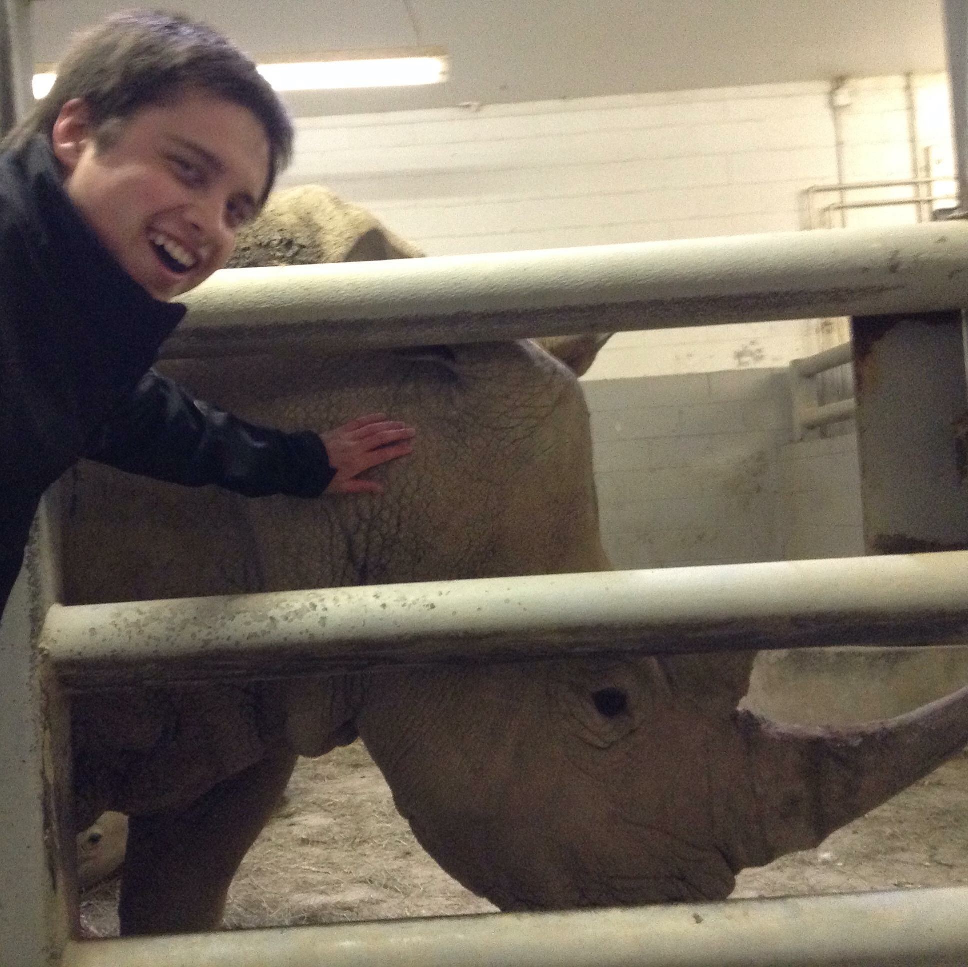 A man pats a rhinoceros through the bars of its enclosure