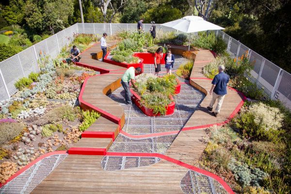 An aerial view of people on a green roof with paths and plants.
