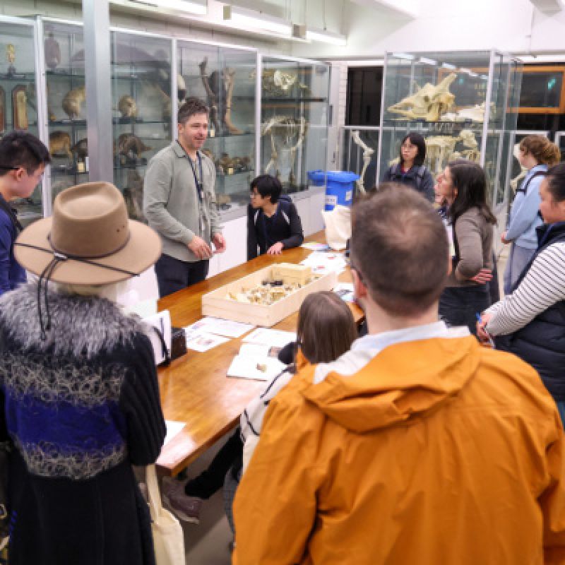 People crowded around specimens on a table, surrounded by glass classes of more specimens.