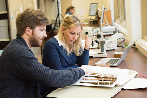 Students studying plant samples