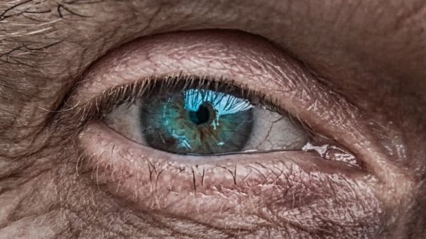 Human eye - image by Tom from Pixabay