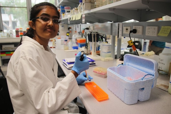 A student in a lab coat, using a pipette to drop a chemical into a test tube