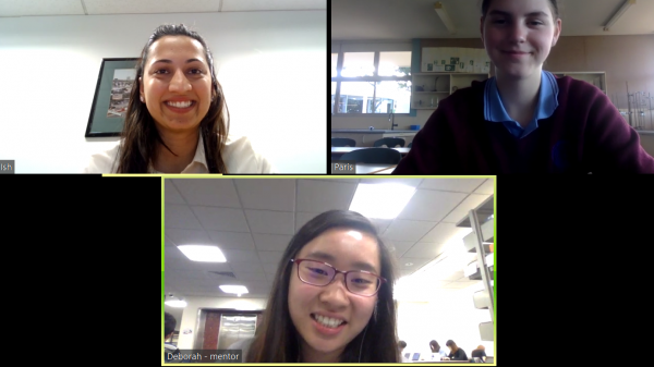 Students conducting mentoring over video