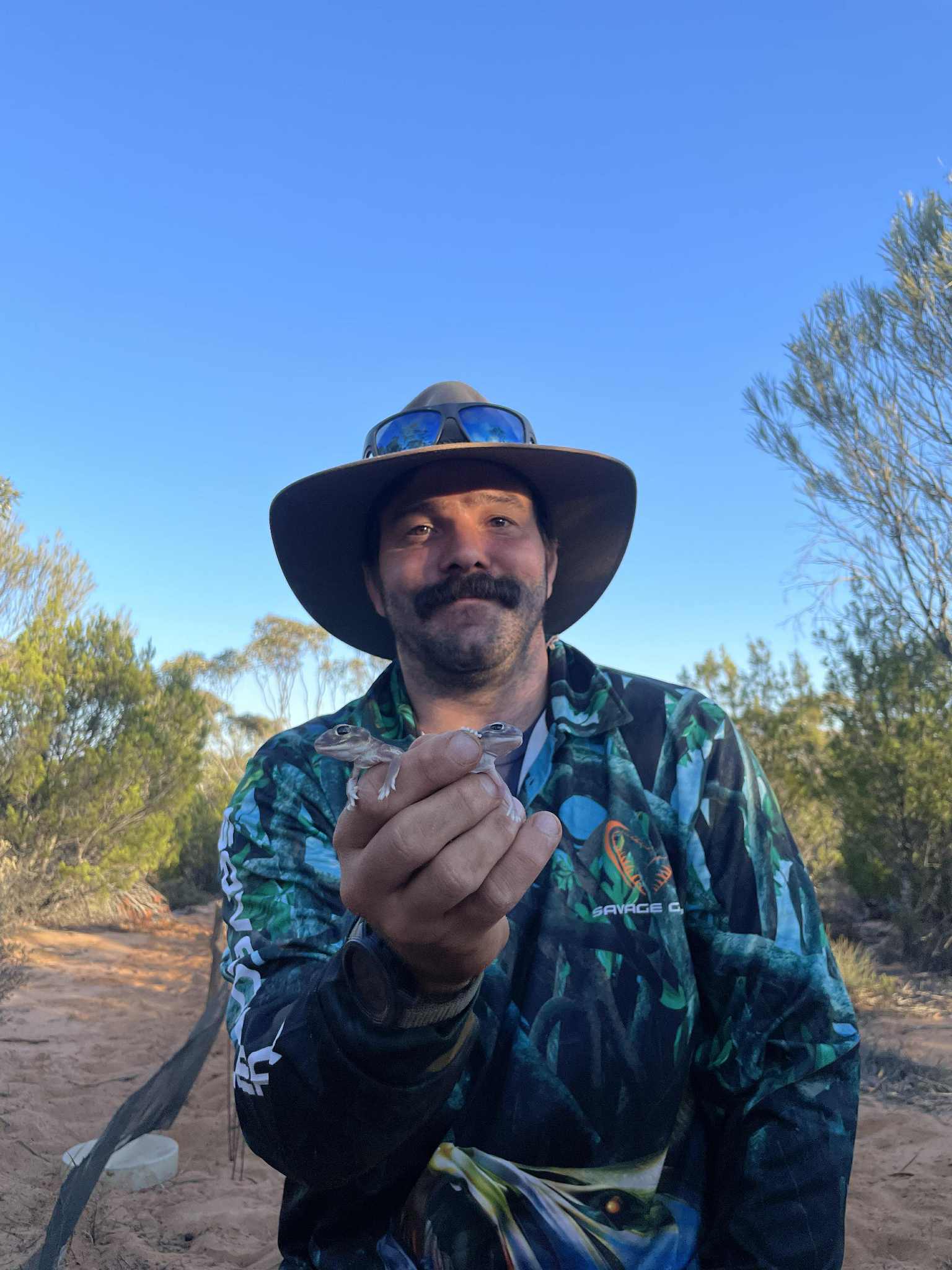 A photograph of Kris Wild