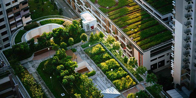 Lush rooftop gardens on top of skyscraper