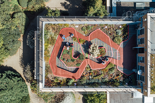 An aerial photo of the roof top garden at the Burnely campus