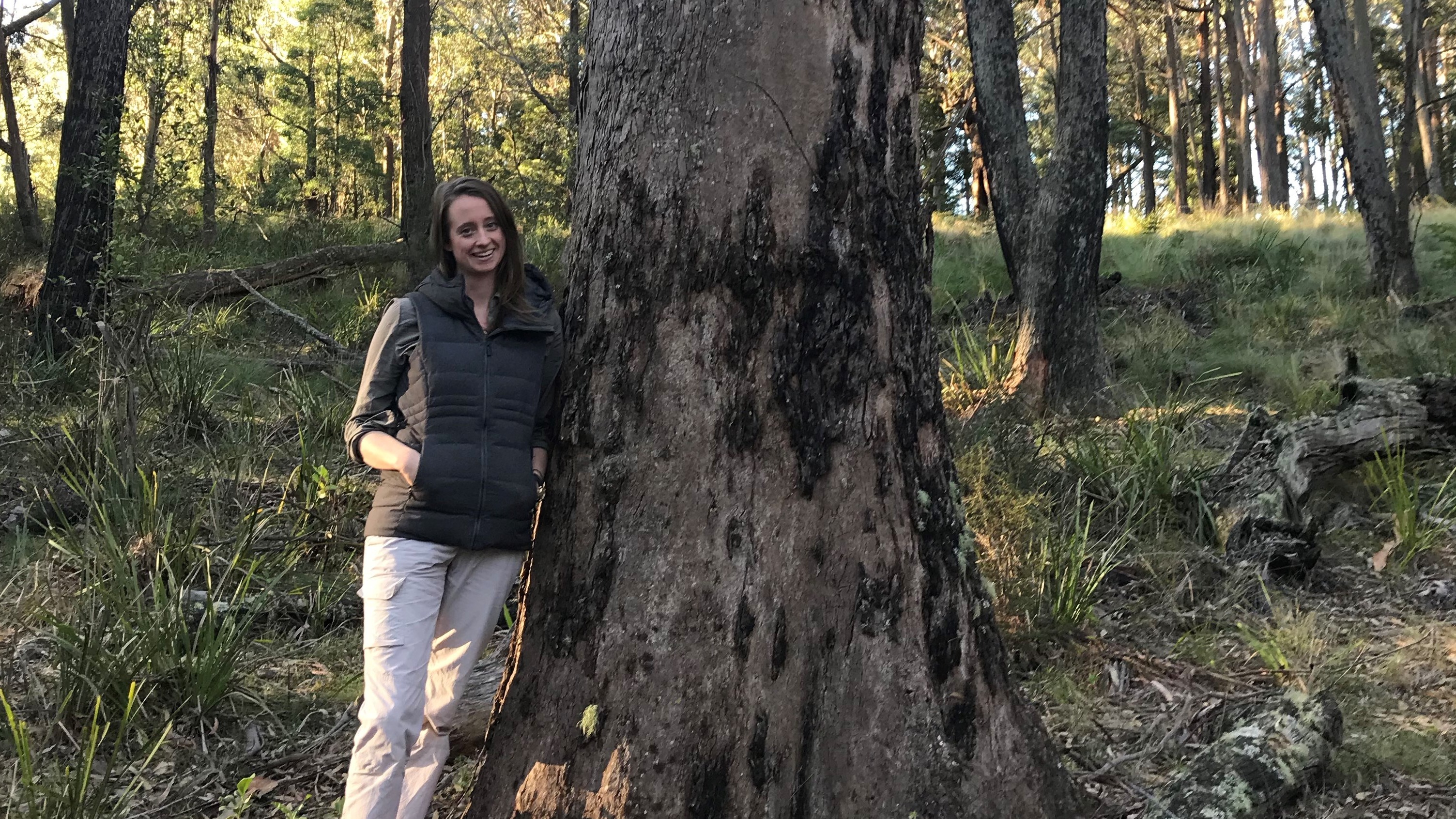 Sarah standing beside an old, massive tree