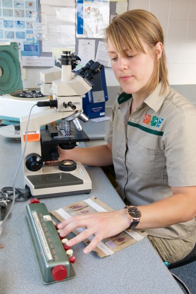Dr Katherine Adriaanse