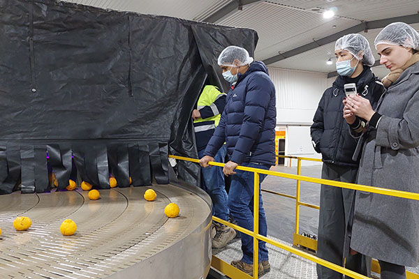 NorVicFoods interns observing oranges being sorted by machine