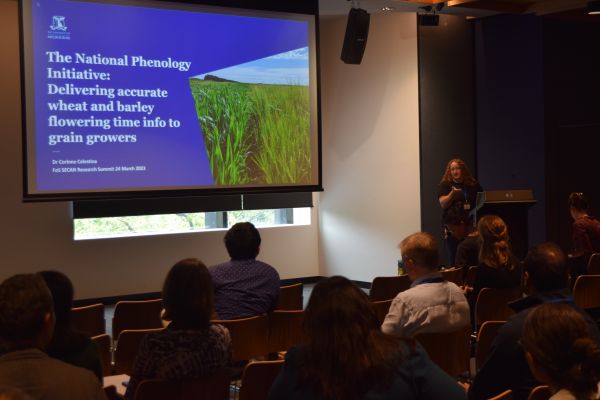 A wide view of a presentation, with both audience and slide visible