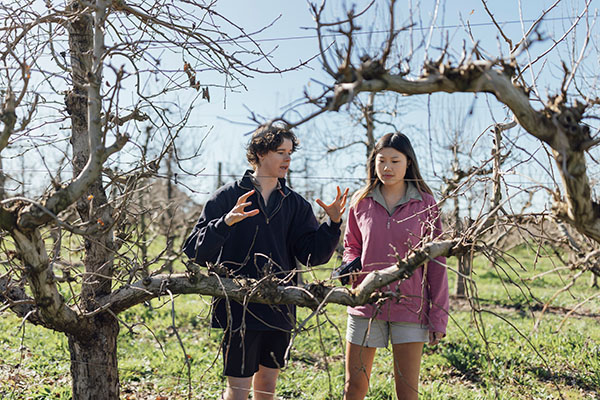 Two people standing in an orchard talking