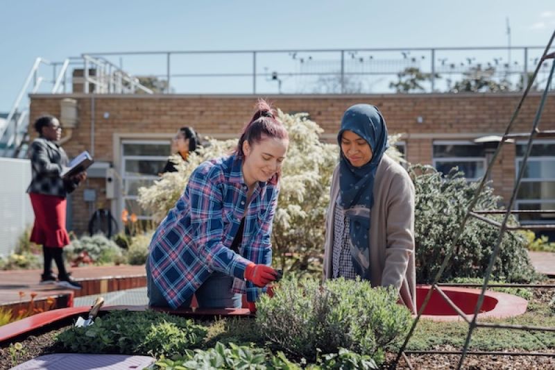 Two women tending to a plant on a roof garden