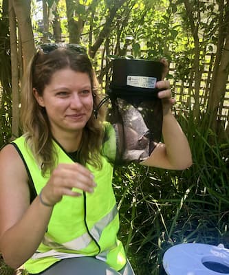 Veronique with mosquitos